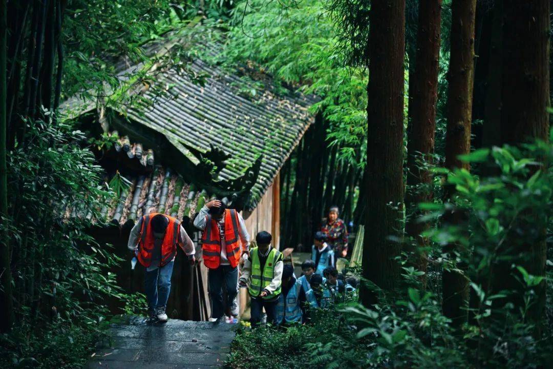 峨眉山交出了满分答卷!