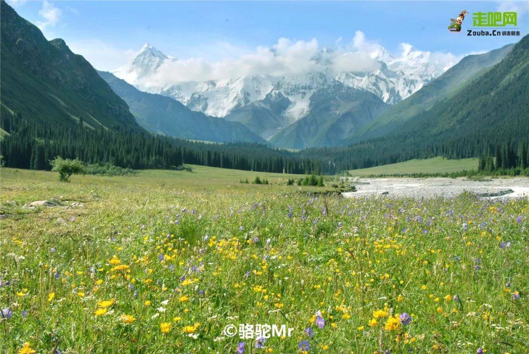 它是新疆境内唯一没有荒漠的县,被称为中国天马之乡!