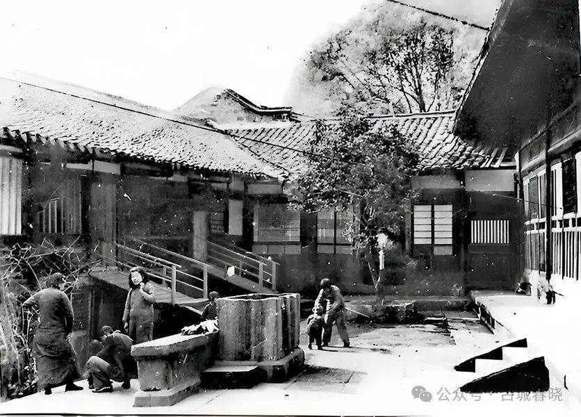 《关山万重》复魅李庄原乡