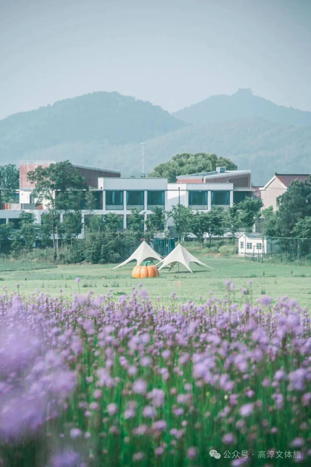 端午假期,南京这些地方火热出圈