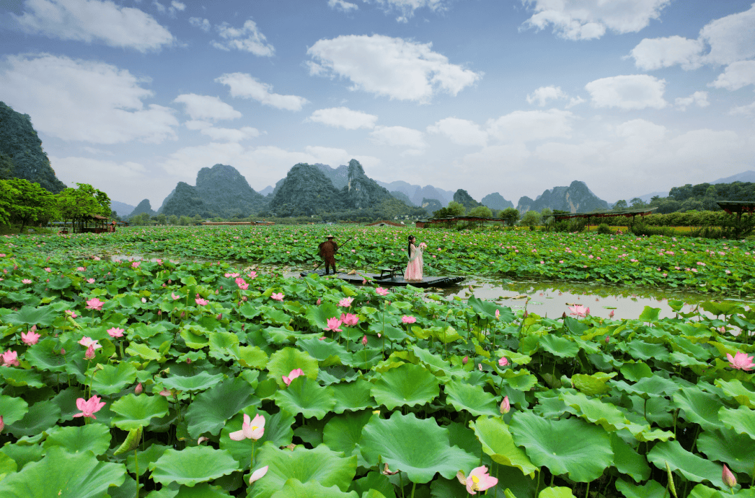 【6月18日仅一期】英德峰林荷花绽放!美到极致 !