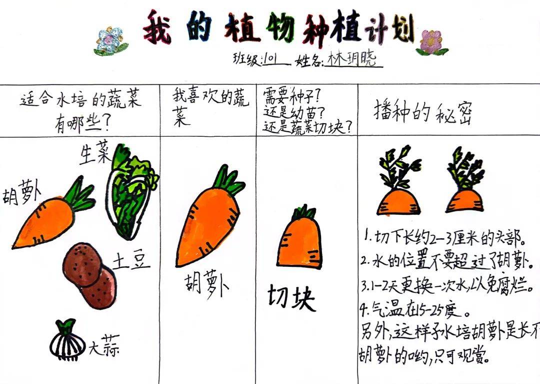 幼儿园植物种植调查表图片