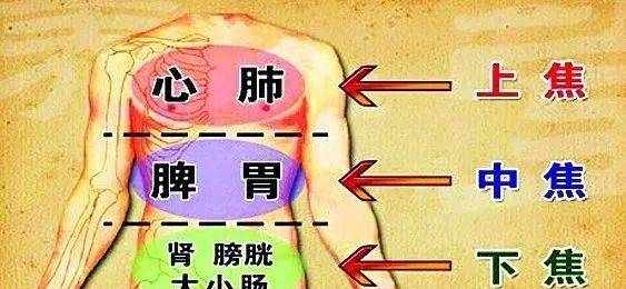 揉这里,让身体寒热对流!_自然_体质_脾胃