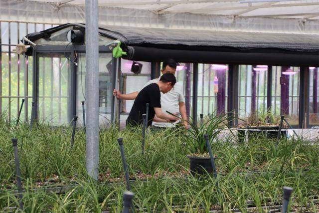 南阳市50家a级景区对2024年应届高考生,中考生免门票_赵显_桐柏_学子