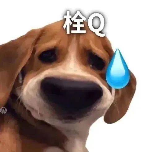 沙雕搞笑表情包:给家人们整笑了