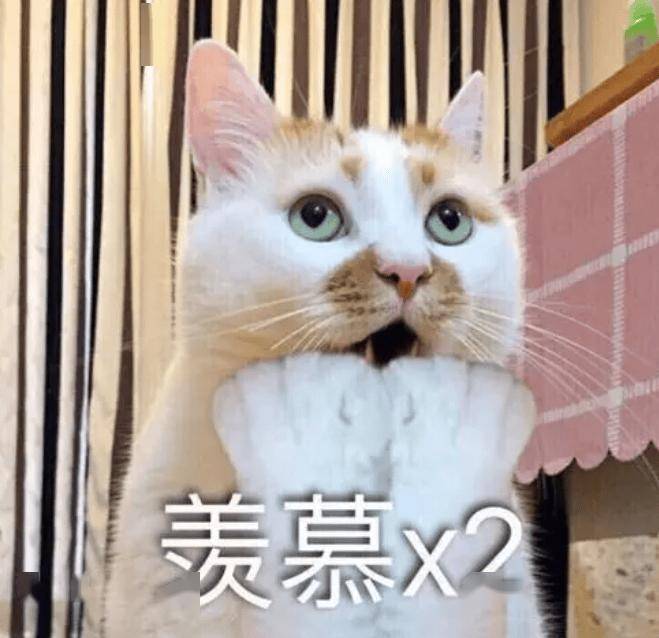 邢台8名学子通过北大、清华审核...-邢台今年考上清华北大有几位学生?