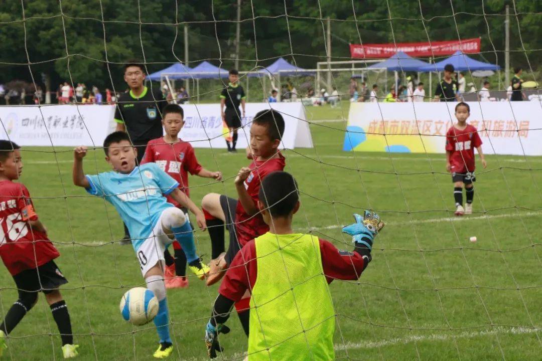 四川省"选星计划"青少年足球赛暨四川"天府杯"2015-2016年龄段足球