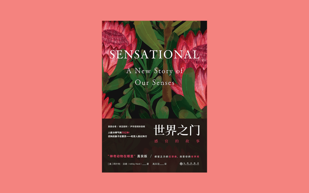 界面荐书 | 这届年轻人爱上了随地大小吃