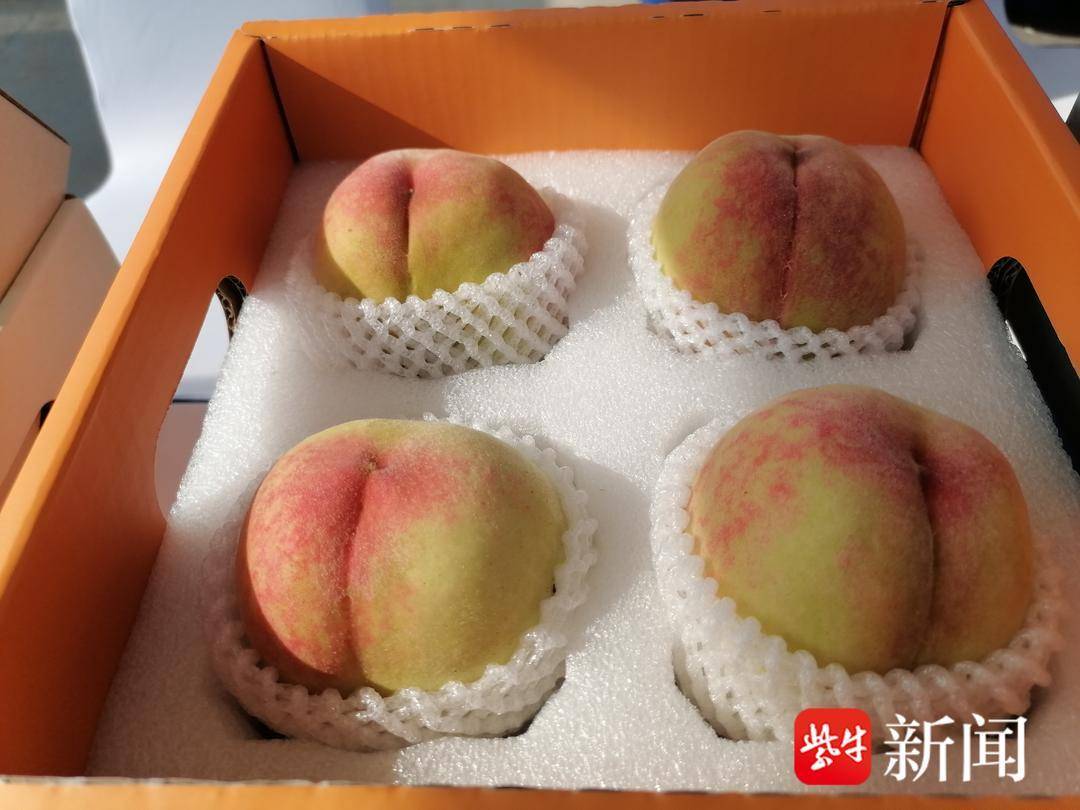 【视频】无锡阳山水蜜桃,今年用"无人机"来送货
