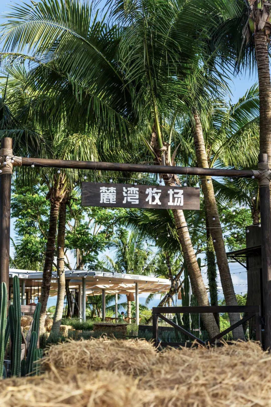 万宁这些优惠信息都别错过,建议码住收藏