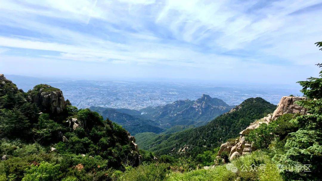 泰山夏意渐浓,山上的风景也在悄