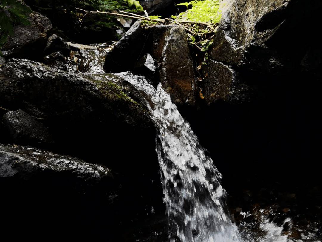 青青徒步 | 6.15【中级】 东灵山穿越达摩古道,登顶北京之巅