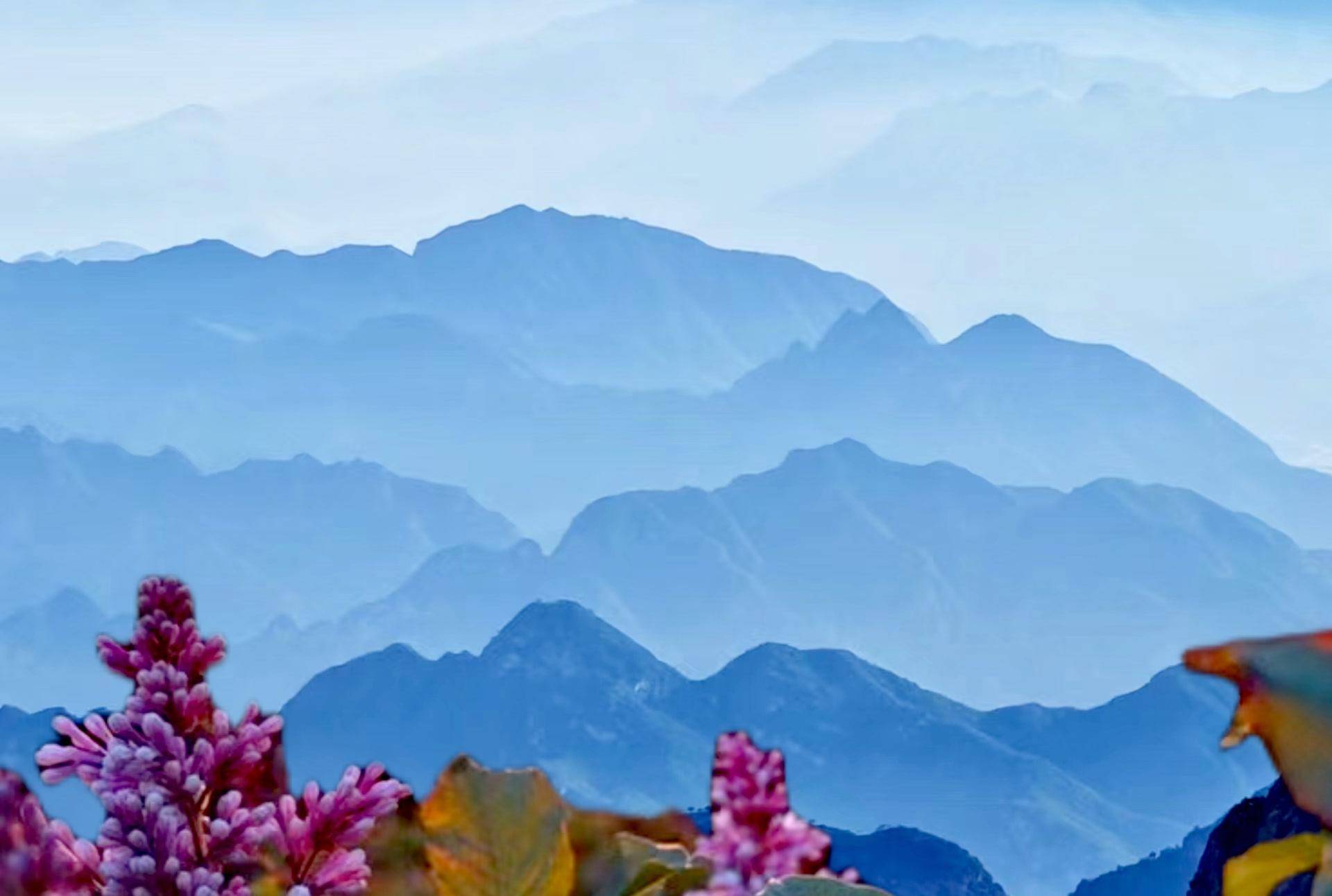 赵永祥,司福亮摄白草畔不仅是百花山主峰,更是北京第三高峰,北京西南