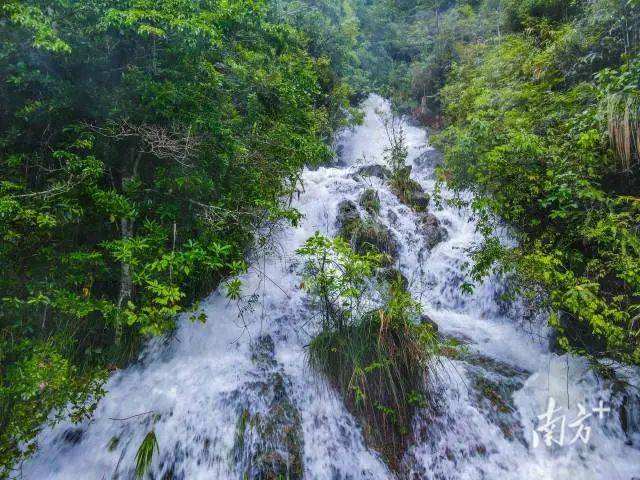 来这里,一起邂逅紫金"宝藏"美景