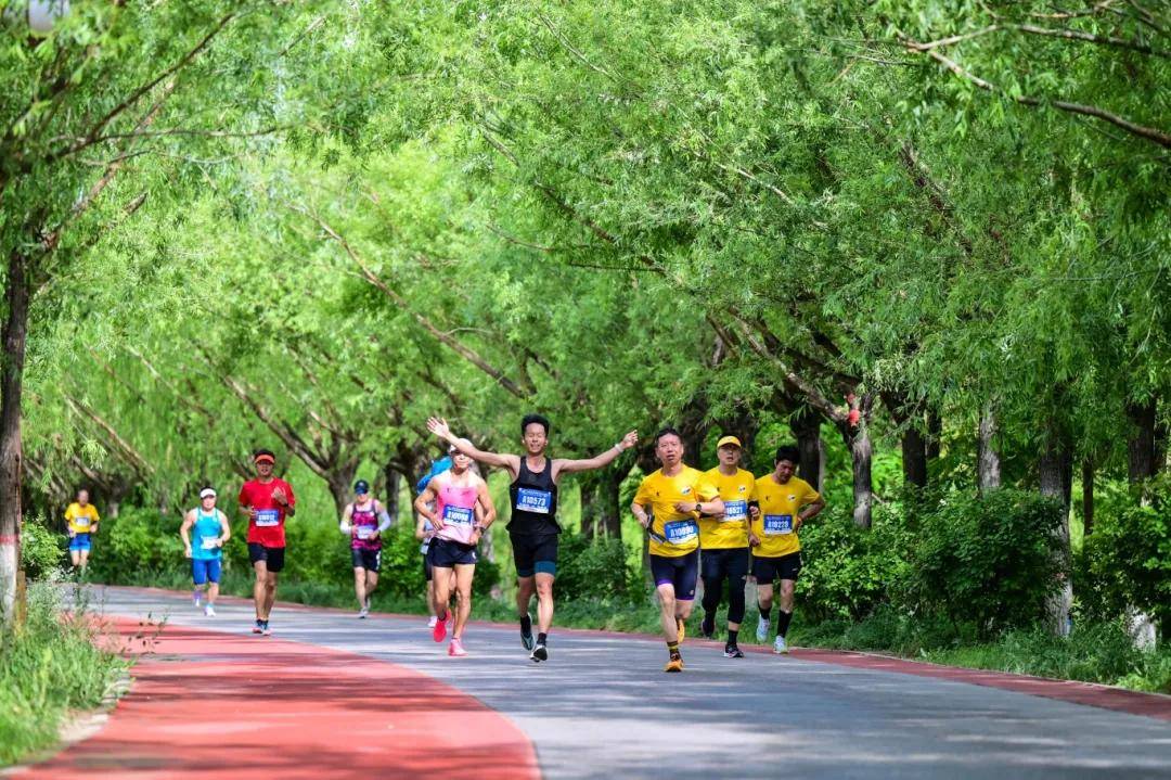 【嘉】音频传·不负韶华 | 2024嘉峪关长城马拉松暨长城联赛·嘉峪关