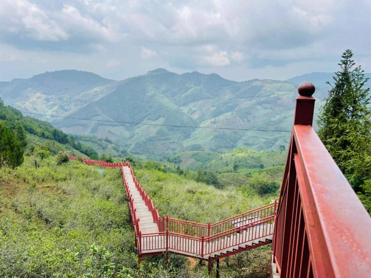 云品乐购走进昆明雄达茶城,助力云茶走向全国