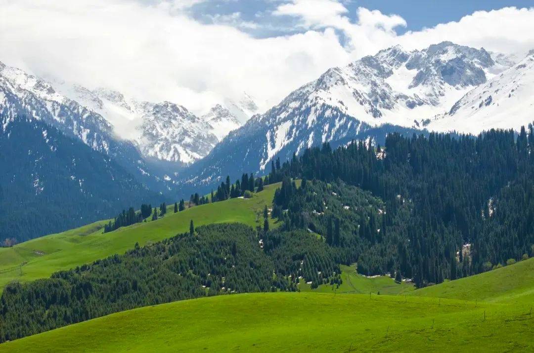 端午假期 巩留各景区游客如织 "流量"十足_旅游_房车_草原