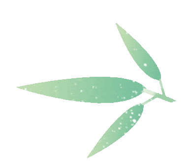 "毒五月"的养生智慧:传统与现代相结合的健康之道_阳气_人们_环境