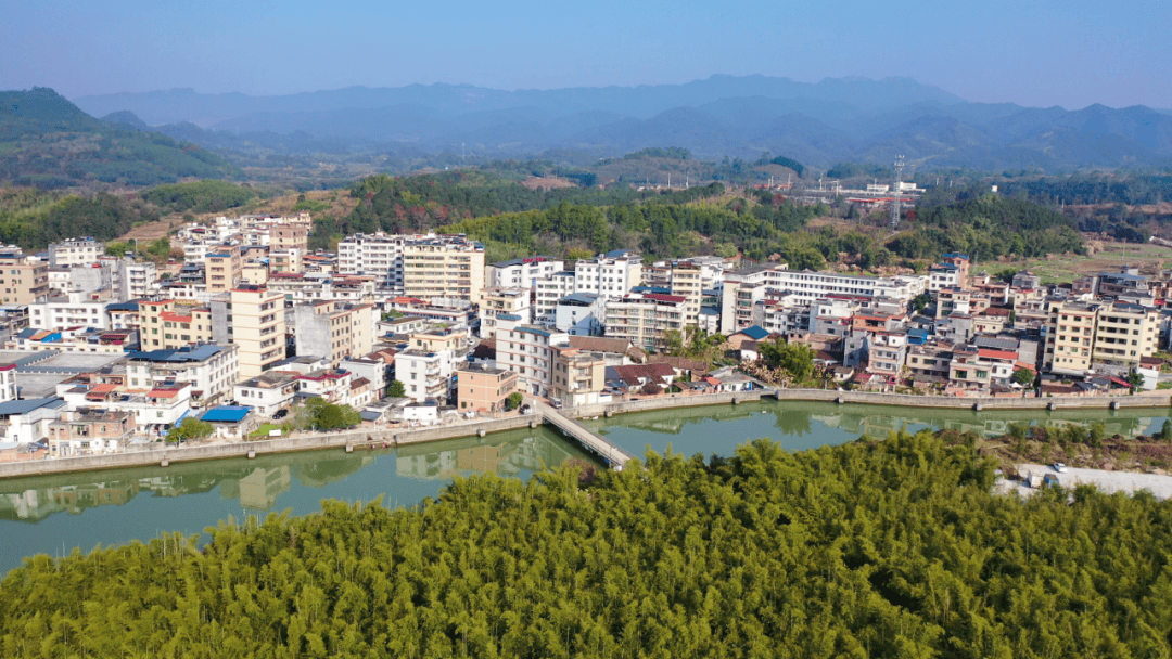 陈夏广到黄坑镇调研强调:凝聚合力加快典型村培育 助推"百千万工程"