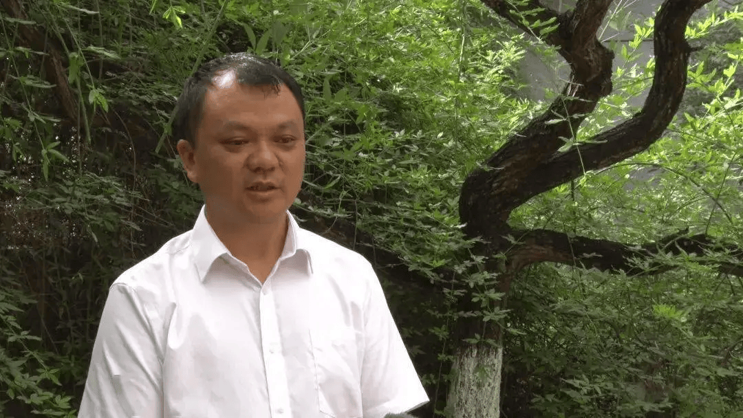 退居二线难逃一劫_蒙自市_交通运输局_何先智