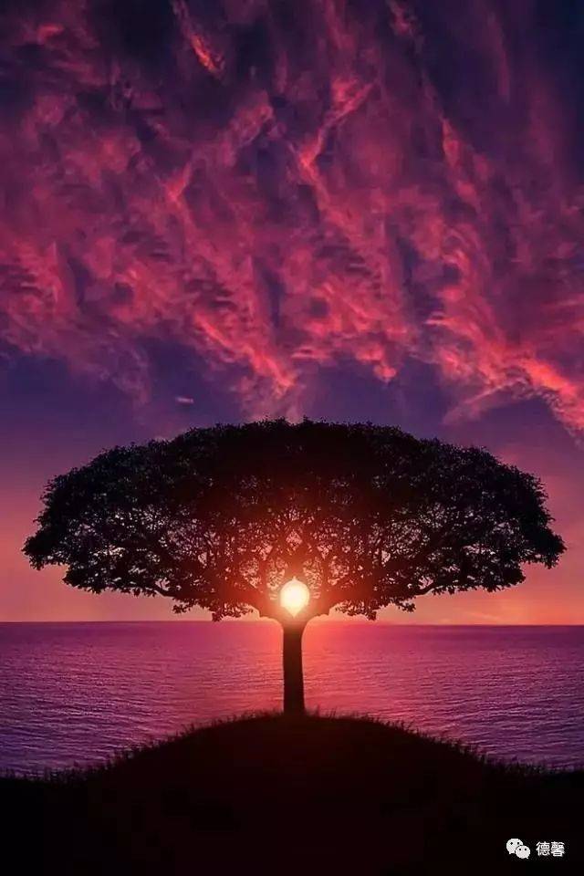 676月11日最漂亮早上好动态表情图片及动图美图大全 风景无限好,何