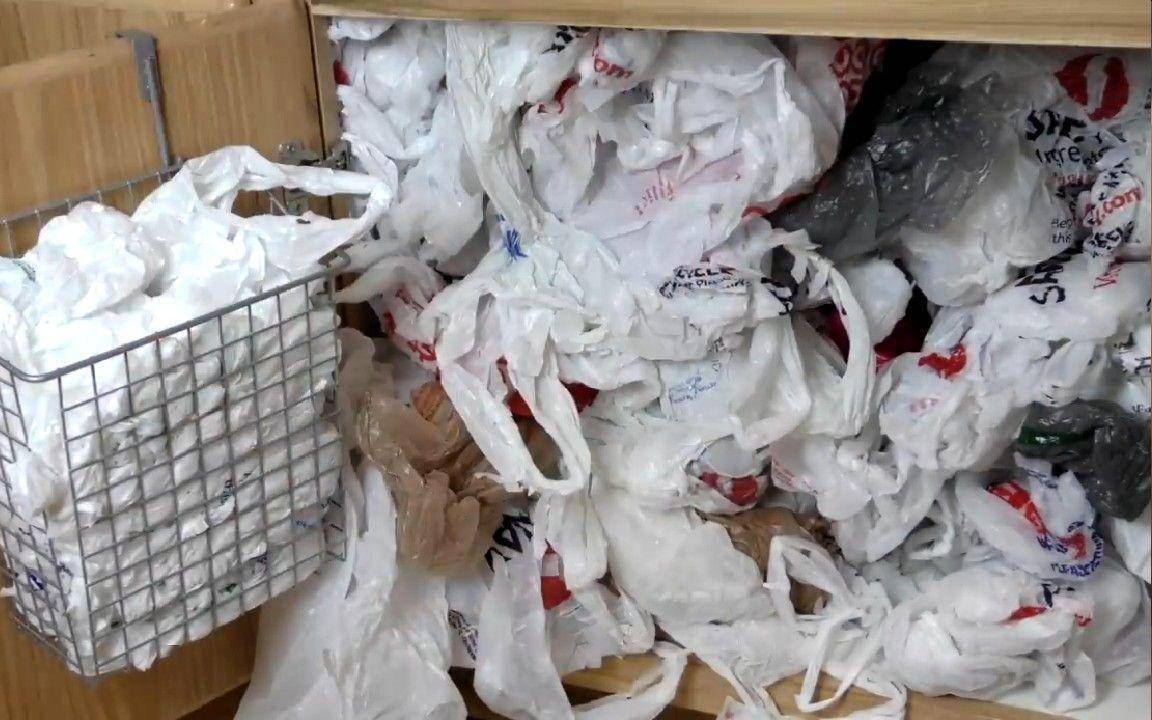 壁纸 动物 狗 狗狗 1152_720