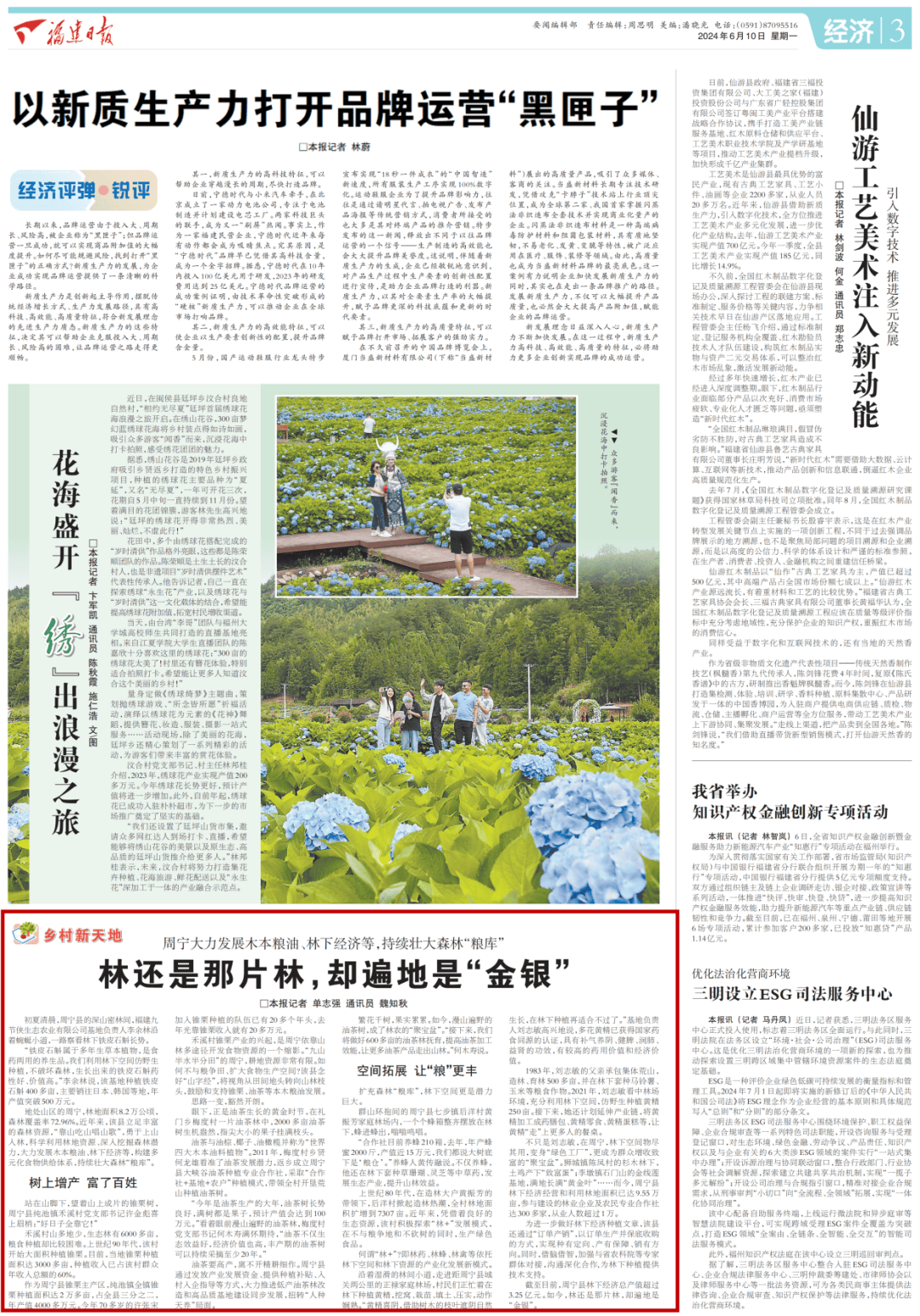 三库+碳库 | 林还是那片林,却遍地是“金银”_种植_油茶_周宁