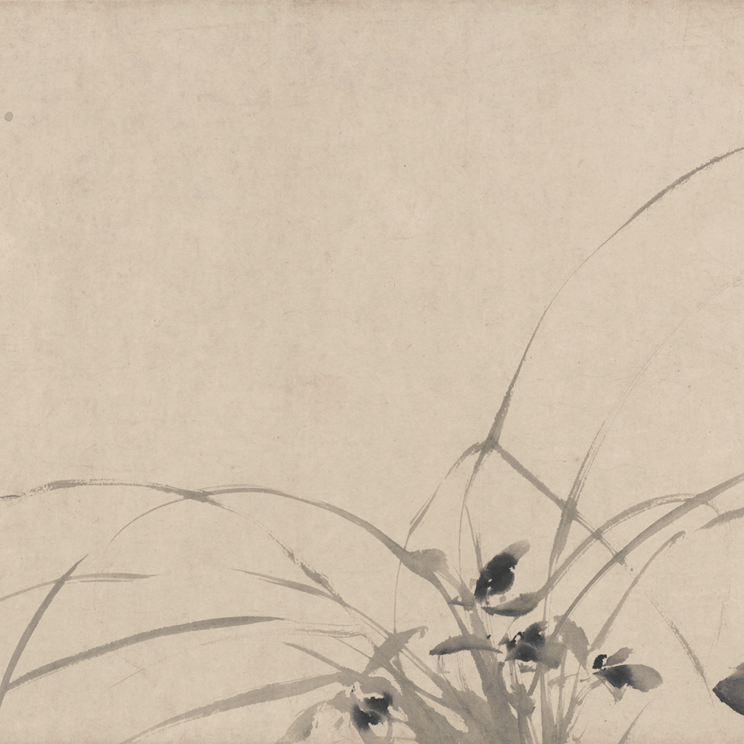 徐渭:十二墨花图