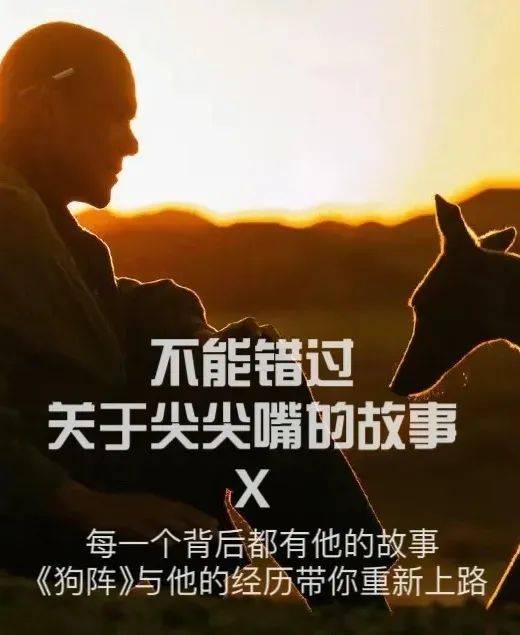 《狗阵》彭于晏与黑狗互相救赎"再上路"的生命力直击人心!