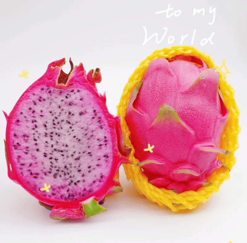 火龙果,很可能摘的时候还比较硬,我们采摘基本接近完全成熟,切开就有