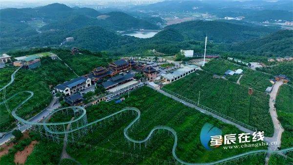 战略示范创建村"的莲花镇五丰村,汇聚了圣峰果业,爱格花卉等13家企业