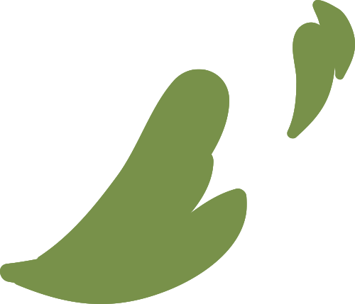 【文末有福利】京剧两大经典剧目来闵行啦!热爱戏曲的朋友千万别错过