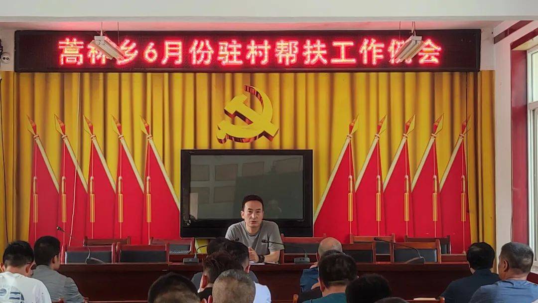 蒿林乡召开6月份驻村帮扶工作例会_会议_主动_重点