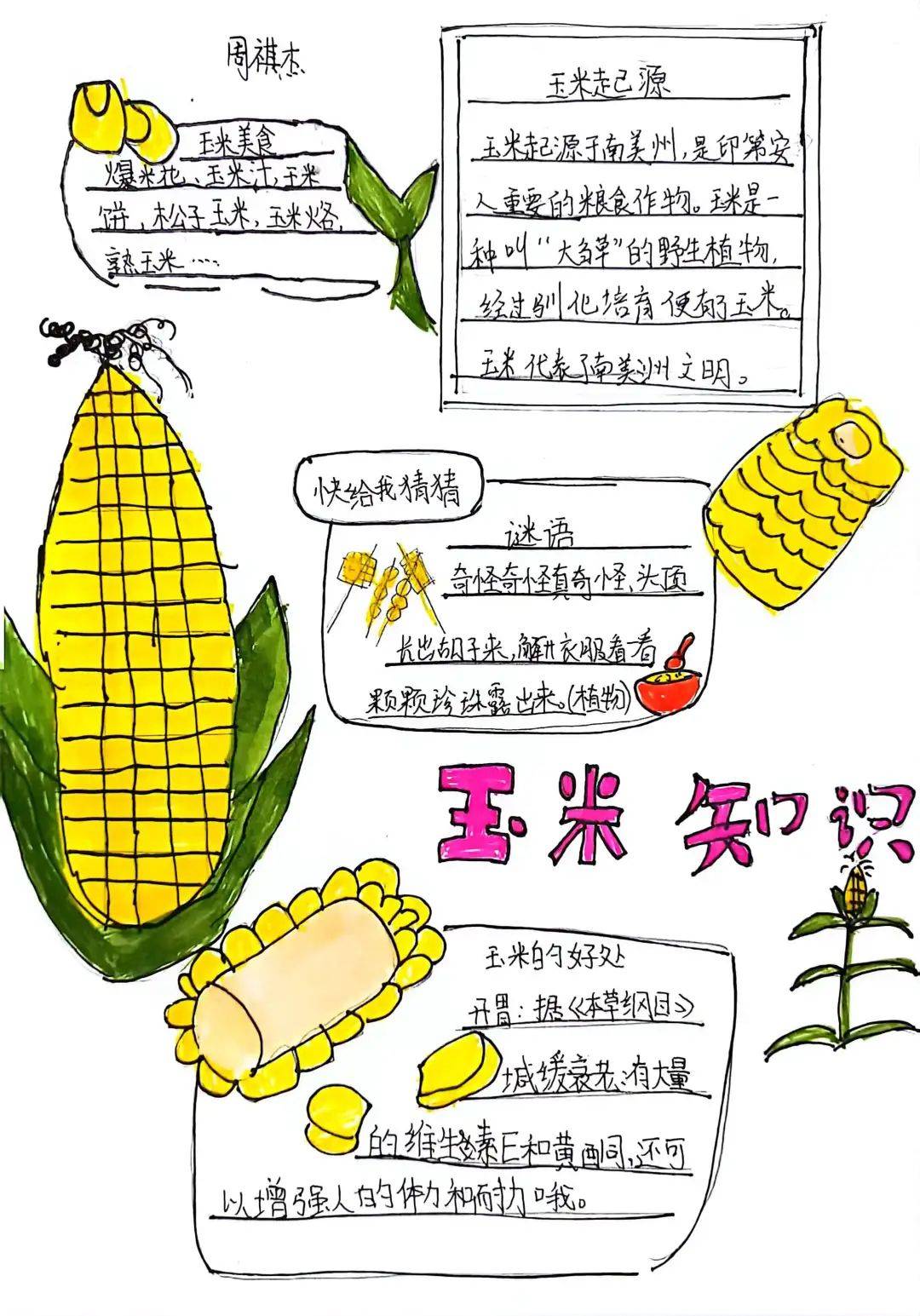 中国农业手抄报简单图片