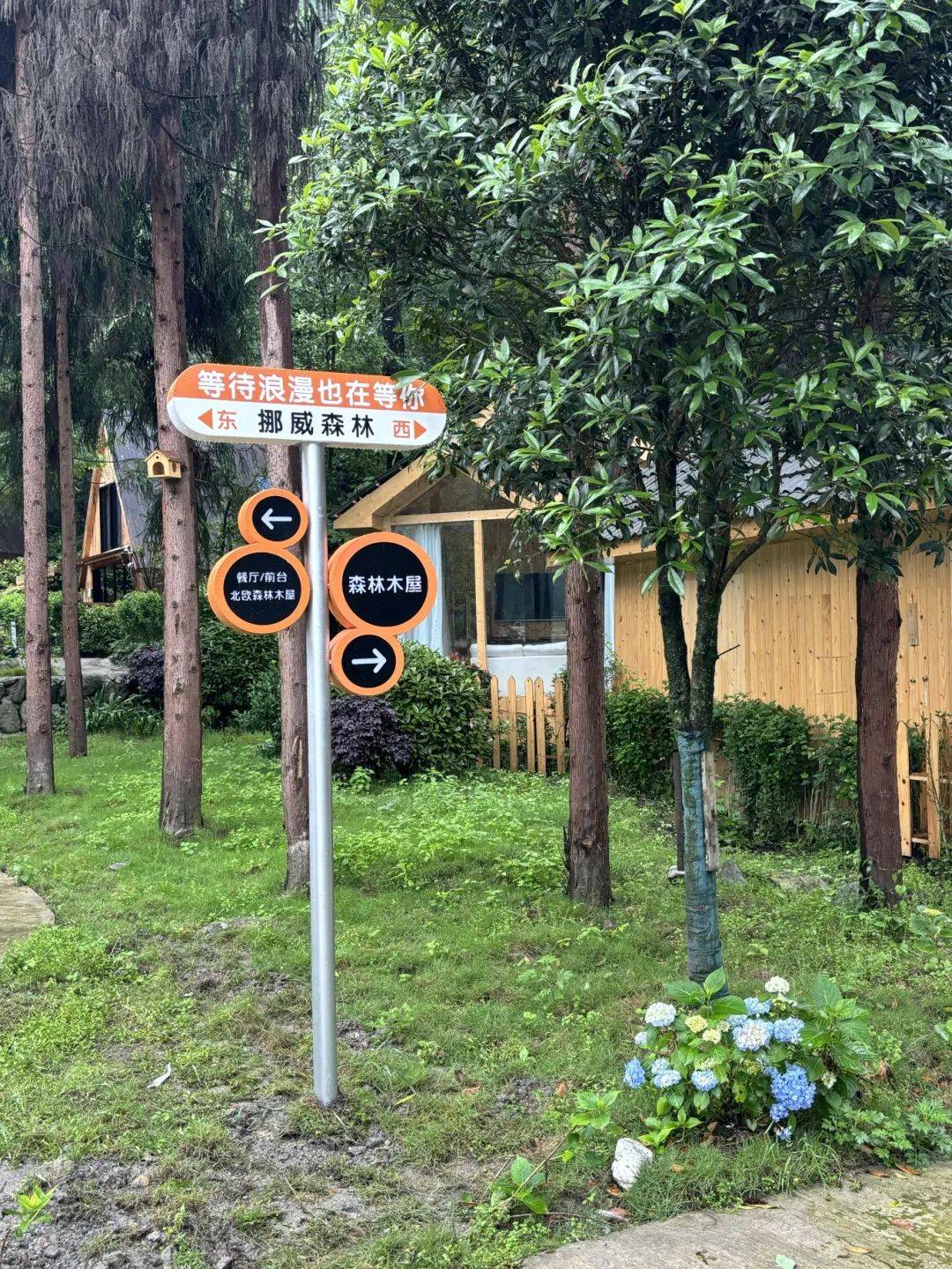 轻奢民宿上新!在彭州版"挪威森林",邂逅童话里的自己