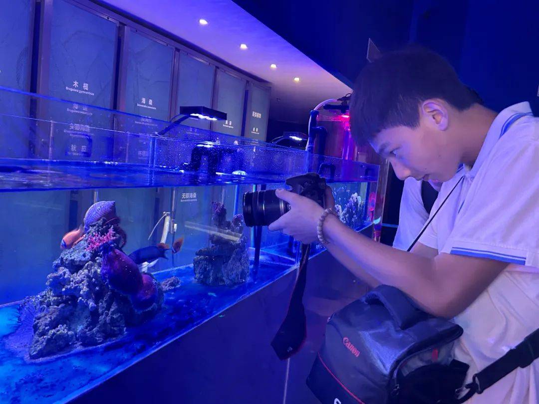 组织学生参观海洋博物馆,了解海洋的历史,海洋的地理构造等方面的知识