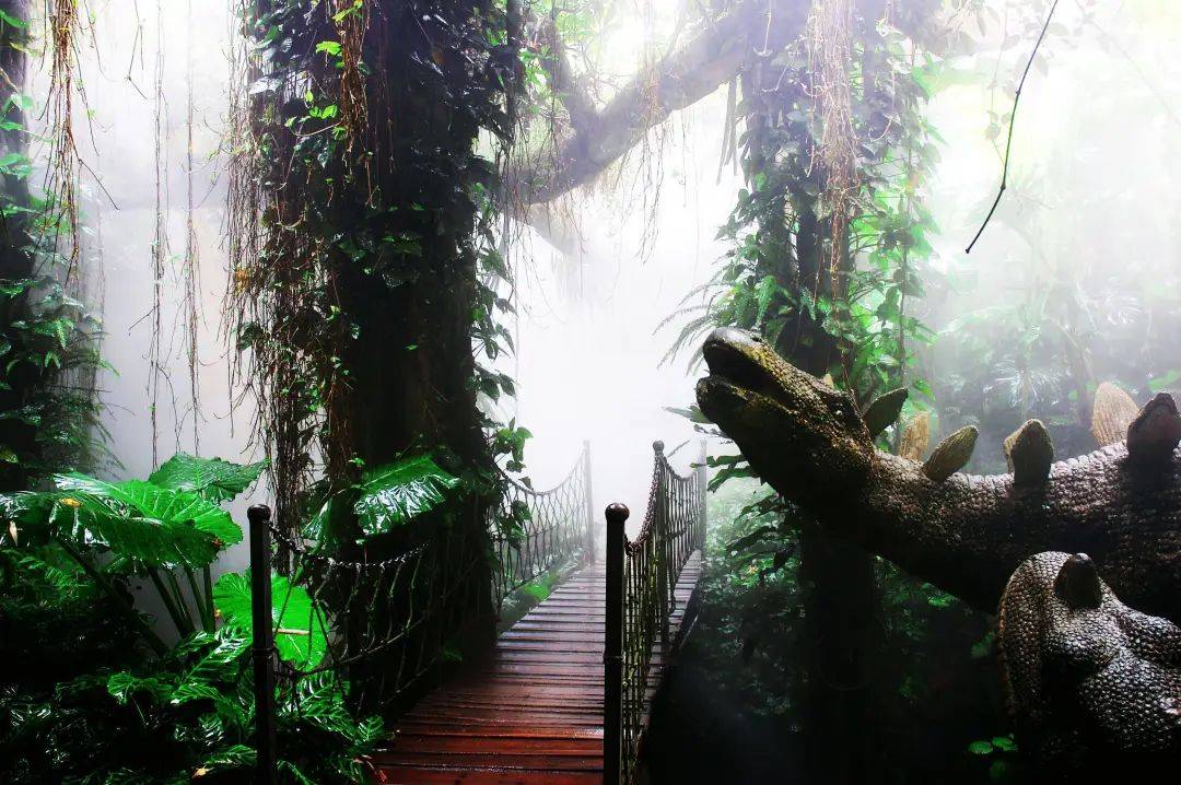 穿越侏罗纪,与恐龙同行;打卡神秘雨林,邂逅幸运彩虹!