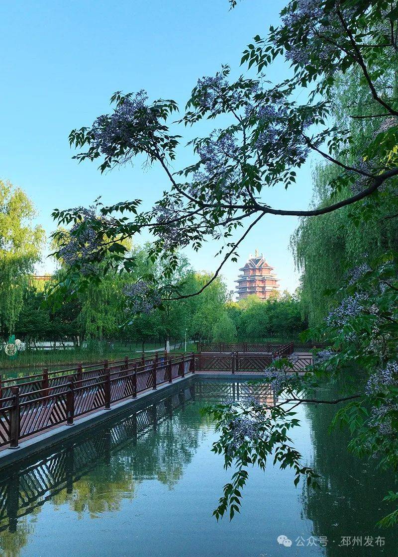 除了水杉公园外,桃花岛公园,九凤园等处也是环境优美,风光雅致.