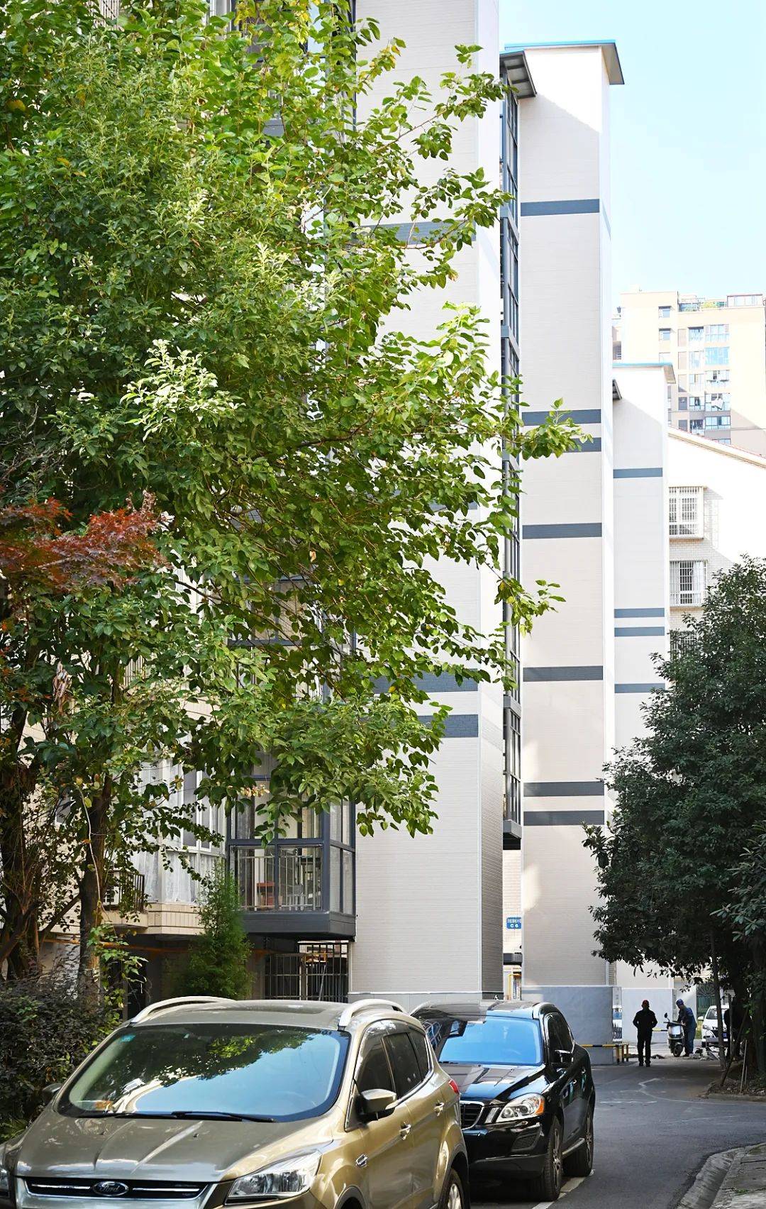 花园单位(前三名)东贝机电公司黄石七中铁山一中花园小区(前三名)