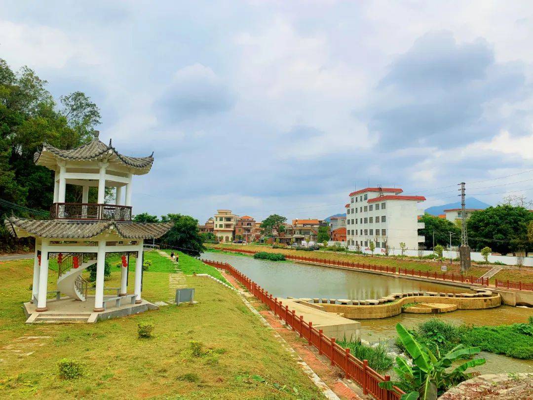 【绿美鹤山】双合镇:三力齐发,以"绣花"功夫打造美丽乡村画卷