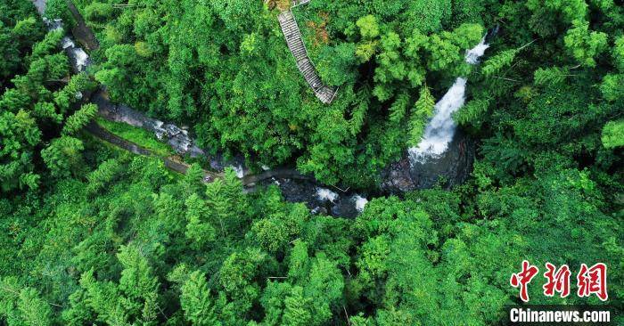 江西生态 之优 何以难解相关图片3