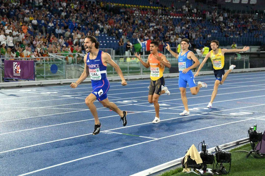 众星云集！欧锦赛奥运预演？-欧锦赛球赛