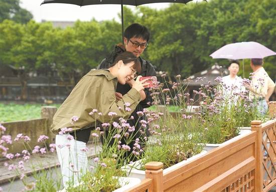 河北日报:管家婆一肖一码100正确-城市：今天是南京城市12号队员石立山的21岁生日，祝石立山生日快乐！  第2张