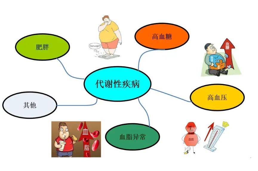 【健康科普】别让代谢性疾病悄悄赖上你!