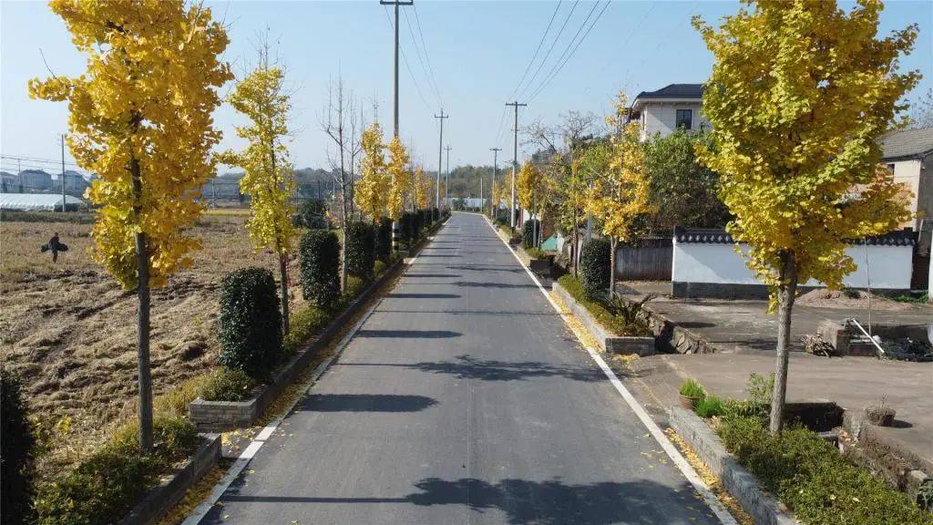 "四好农村路"连通乡村振兴好"途"景_曹村_婺城区_公路