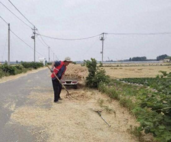 莒南道口乡介脉头案件图片