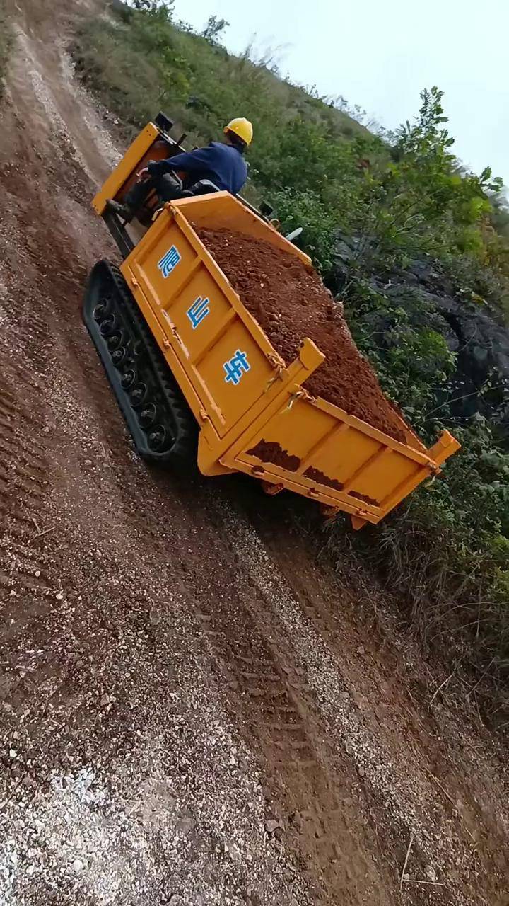 全地形车山区搬运履带运输车爬山虎搬运爬山虎运输车