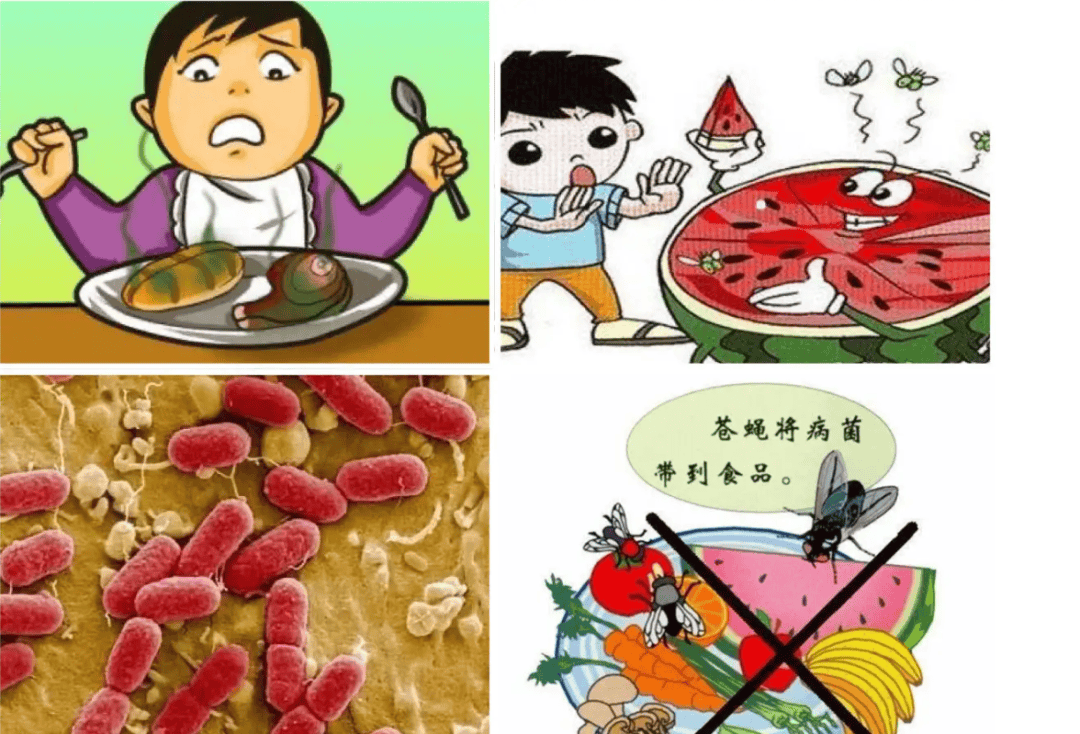 夏季来临,小心这类食物中毒!