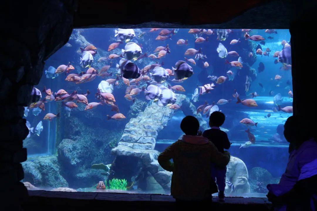 全体毕业生,惊喜的福利送给最好的你~_大唐芙蓉园_曲江_旅行