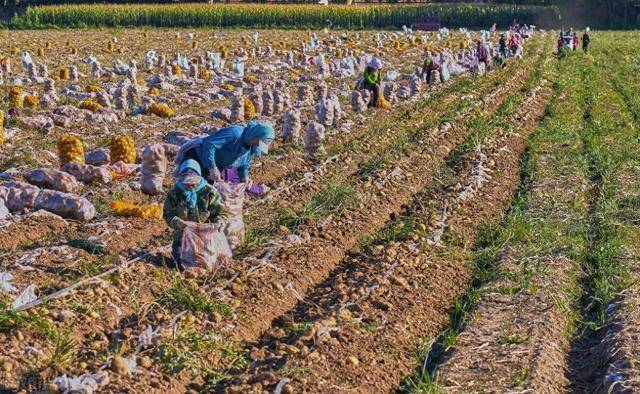 文//天予杜哥在漫长的历史长河中,农业一直是古代社会的经济基础.